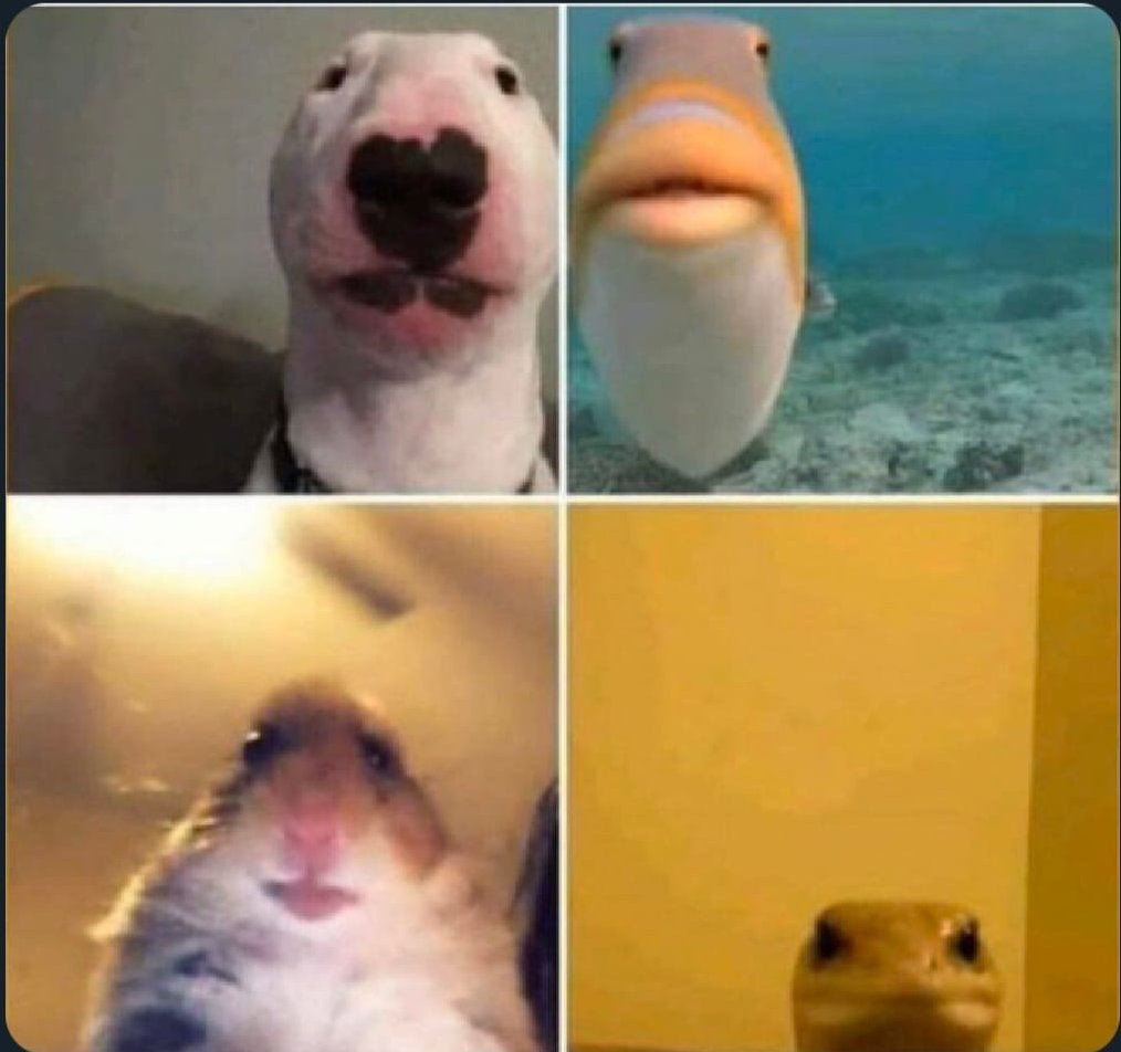 zdmkbnq714ui6hteedw7j4qz
