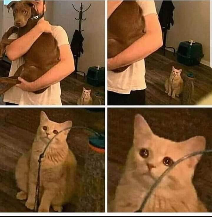zgm0gxf3cfzljanzjy8dp0r6