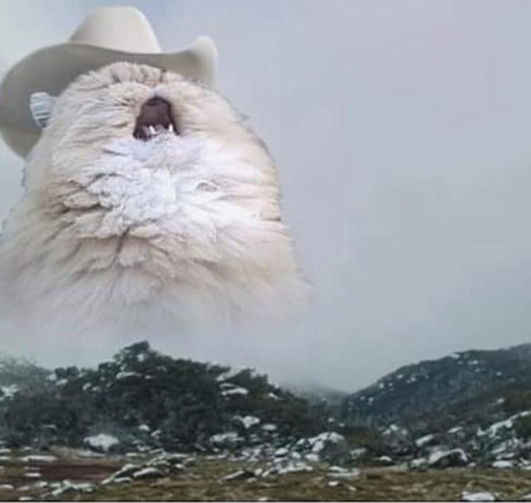 zoqn3mxrzg0e5gdpjngoal5w